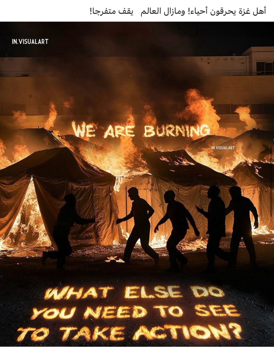 Maktoum Abu Rashid (@abumaktoum) on Twitter photo 