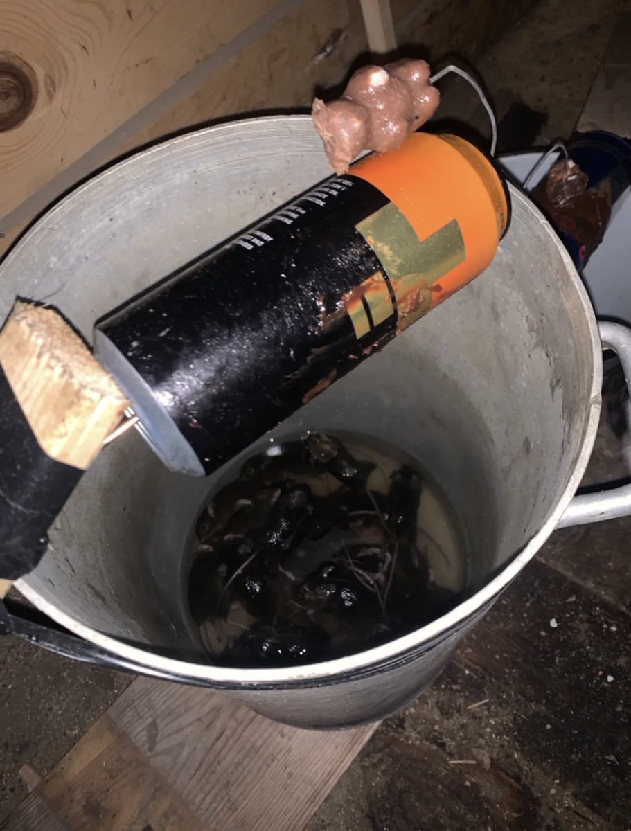 Svein Werner tweet media