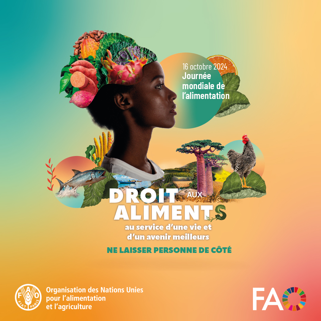 FAOMali's tweet photo. Cette année, la #JournéeMondialedelAlimentation est consacrée aux aliments 🥦 🥔 🍎 🍇
Tout le monde devrait avoir accès à des aliments suffisamment nutritifs, abordables et durables.
Le #DroitÀlAlimentation est un droit humain de chaque personne, partout au #Mali &amp; dans le monde https://t.co/1SEE5CXBsl
