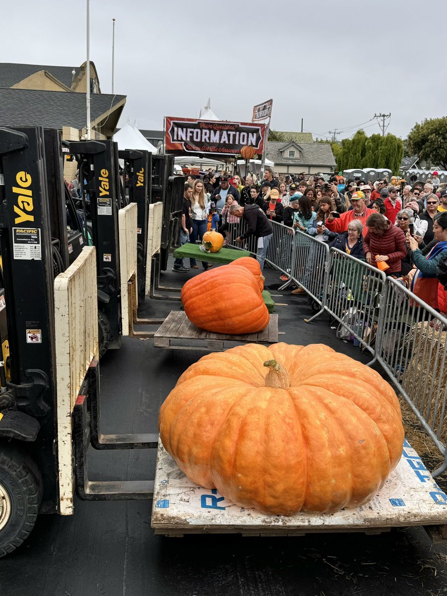 We have a tie folks!!!! Two winners for the Joe Cotchett’s Most Beautiful Pumpkin Award! 🎃🎃 Splitting the grand prize of $1000 50/50: Eric Carlson of Portola Valley and Hailey and Patrick Winnen of Half Moon Bay!