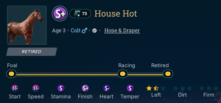 House Hot 🔥 

A newly revealed pivot sprinter ideal for those looking for new LT options

Only Scuba visible in the bloodline 🤿 

photofinish.live/horses/73dbb56…