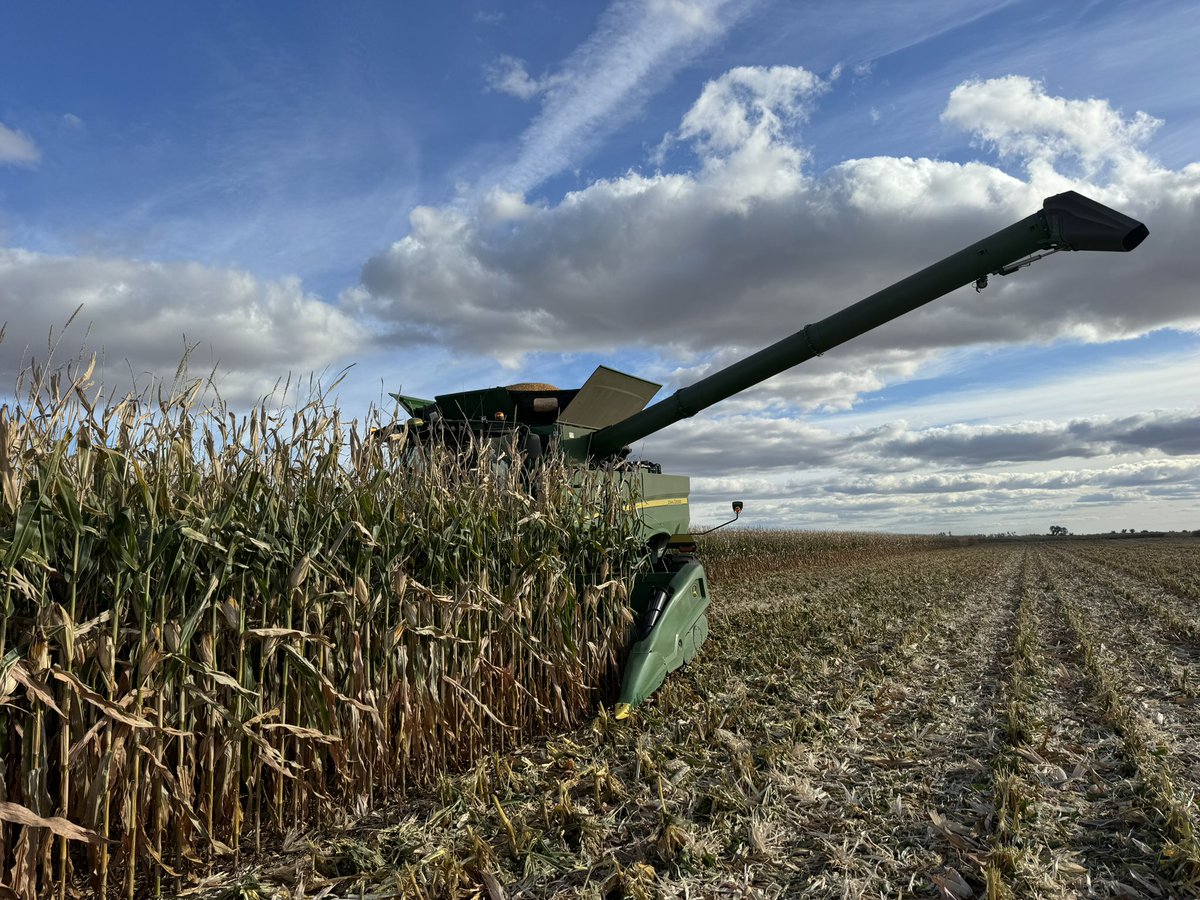 Justin Halvorson tweet media