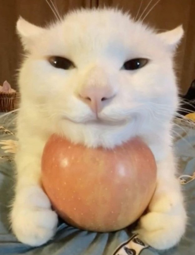 Sparking got me insane in the membrane for gogeta again so ermmmm
Expect buff dudes as well