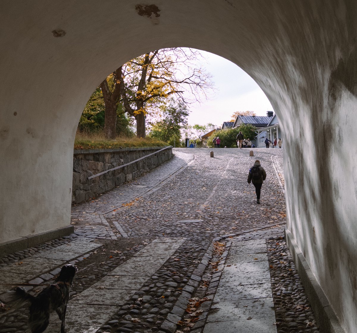 steakscience's tweet image. Still can’t believe these are phone photos!

Shot with @halidecamera Process Zero