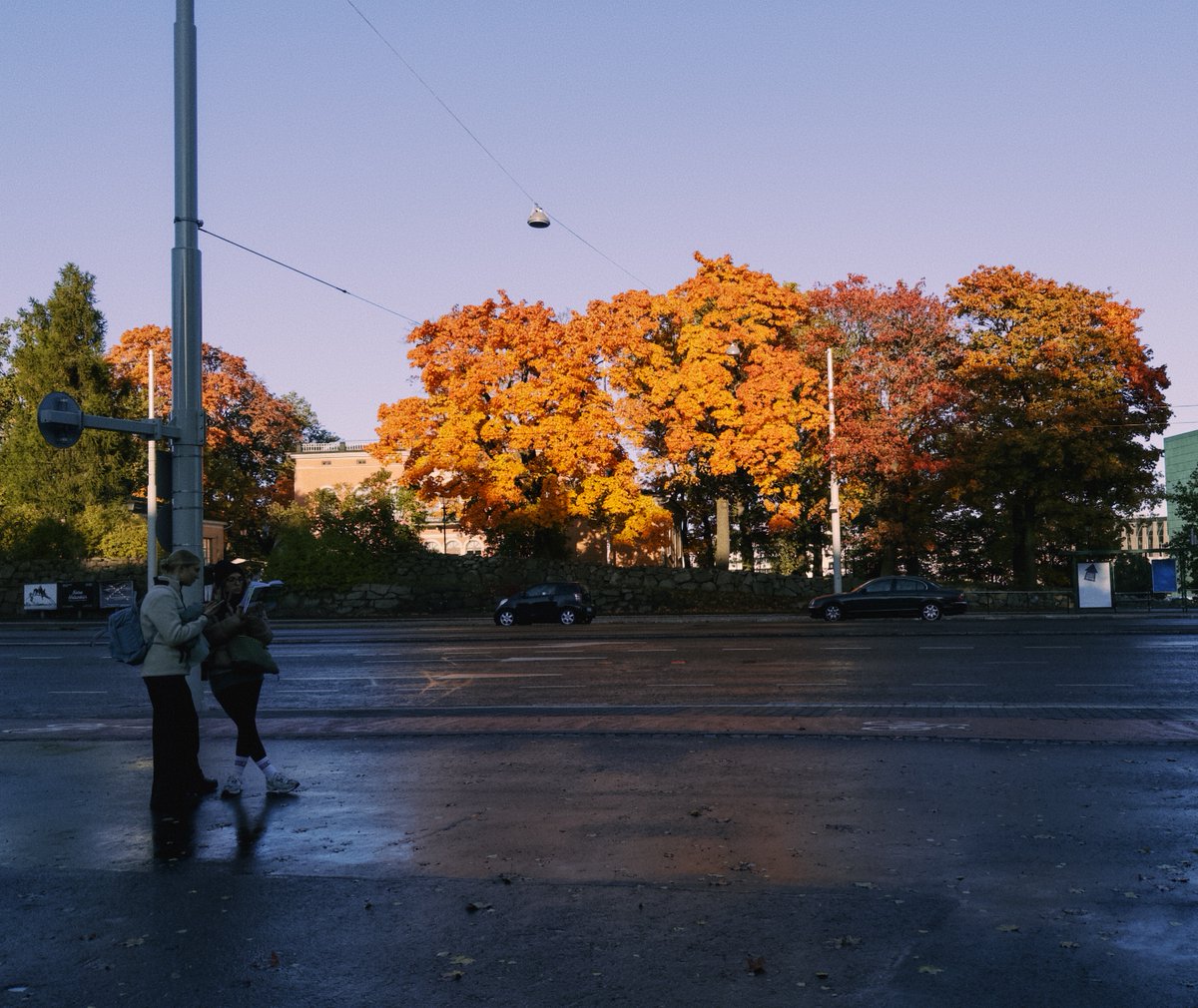 steakscience's tweet image. Still can’t believe these are phone photos!

Shot with @halidecamera Process Zero