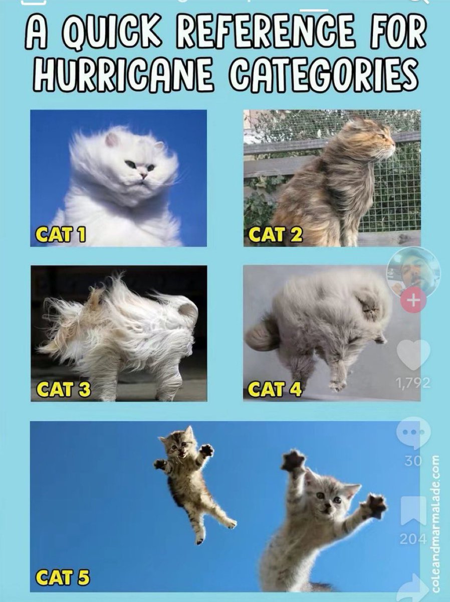 exfactorbass's tweet image. @INArteCarloDoss