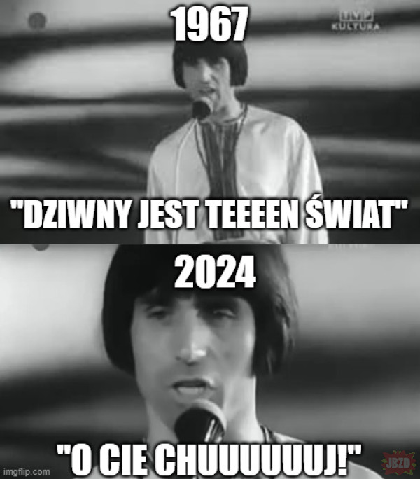 zergu's tweet image. #2024