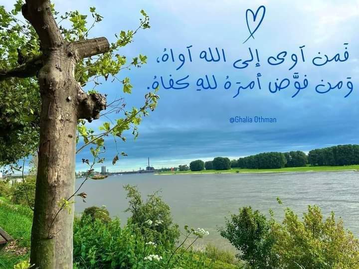 مستر / محمد أحمد (@mrmohamed1985) on Twitter photo 