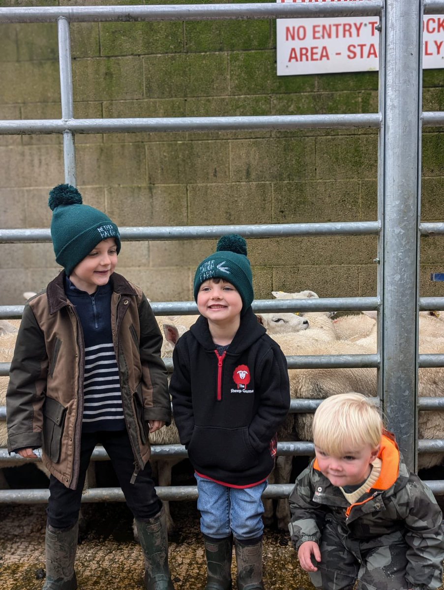 Nick  Grayson tweet media