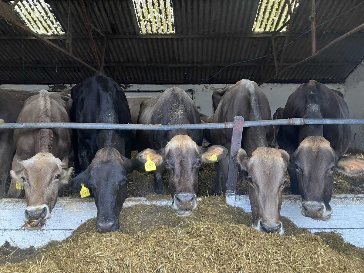 Phil  Latham tweet media