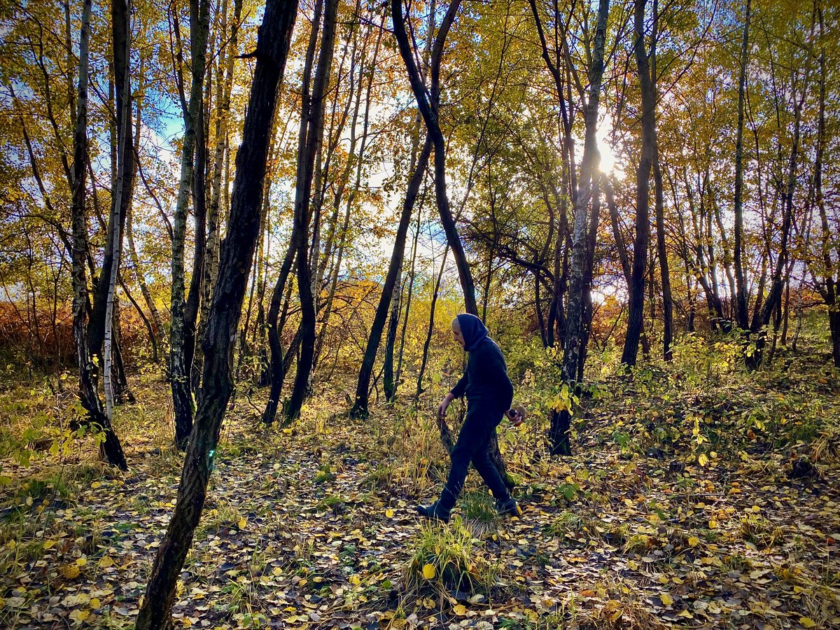 BOAR_ERC's tweet image. We are looking for a colleague to join our vibrant and supportive team at The Department of Ecological Anthropology (Institute of Ethnology of the Czech Academy of Sciences). eu.avcr.cz/en/news/Resear…