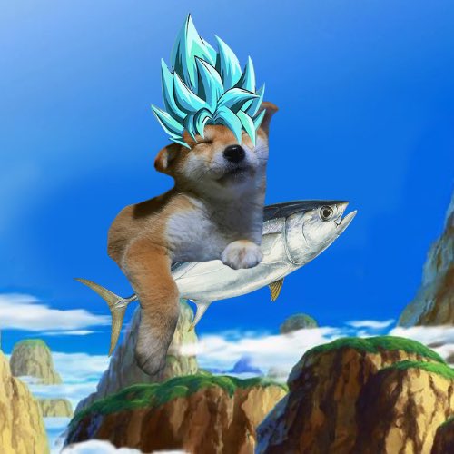 TunaSolana tweet media