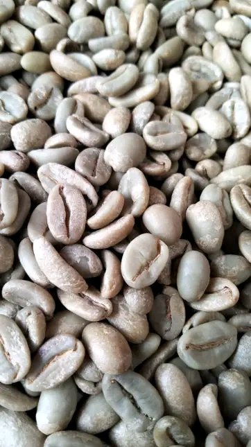 نصدر اجواد انواع البن اليمني من مزارعنا مختص وتجاري وبااسعار منافسه للتواصل معنا عبر الواتس 
00967773732274