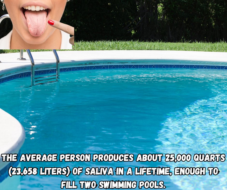 ThoughtSow's tweet image. #DidYouKnow #facts #funtrivia