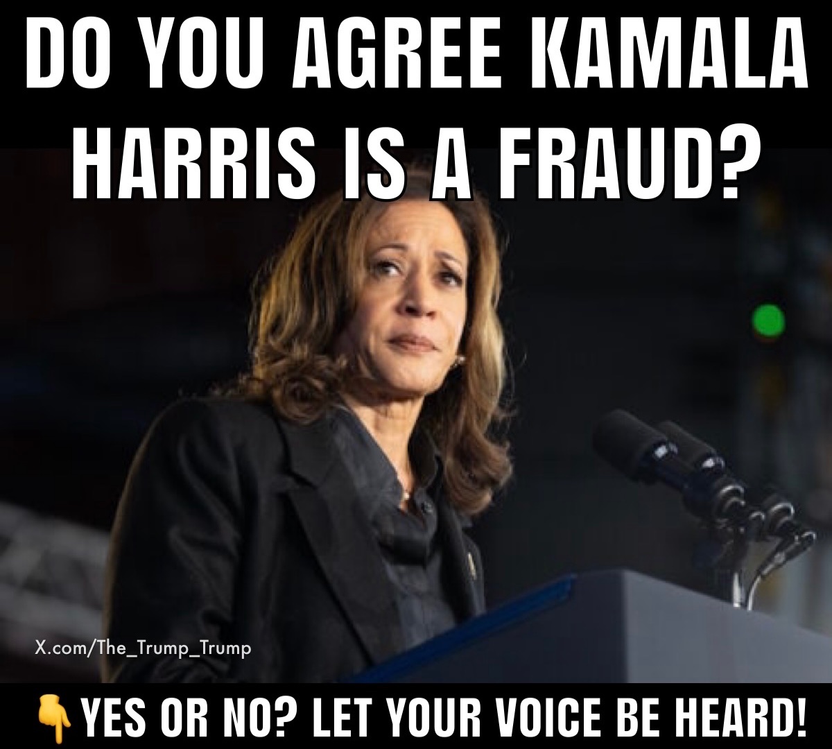 WOW - Kamala Harris got caught plagiarizing over 12 times in her “criminal-justice” book. She even used excerpts directly from WIKIPEDIA.

Do you agree Kamala Harris is a FRAUD?
