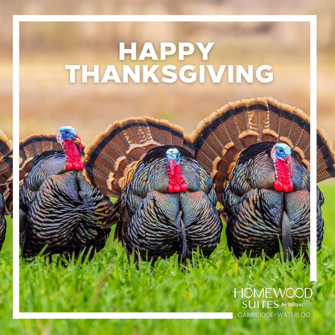 To all our Canadian guests:

Happy Thanksgiving 🦃🥧🇨🇦

#happythanksgiving #HappyThanksgiving2024 #canadianthanksgiving #givethanks #thankful