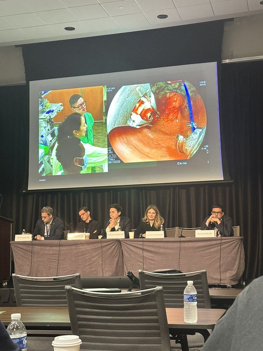 Frances Dang tweet media