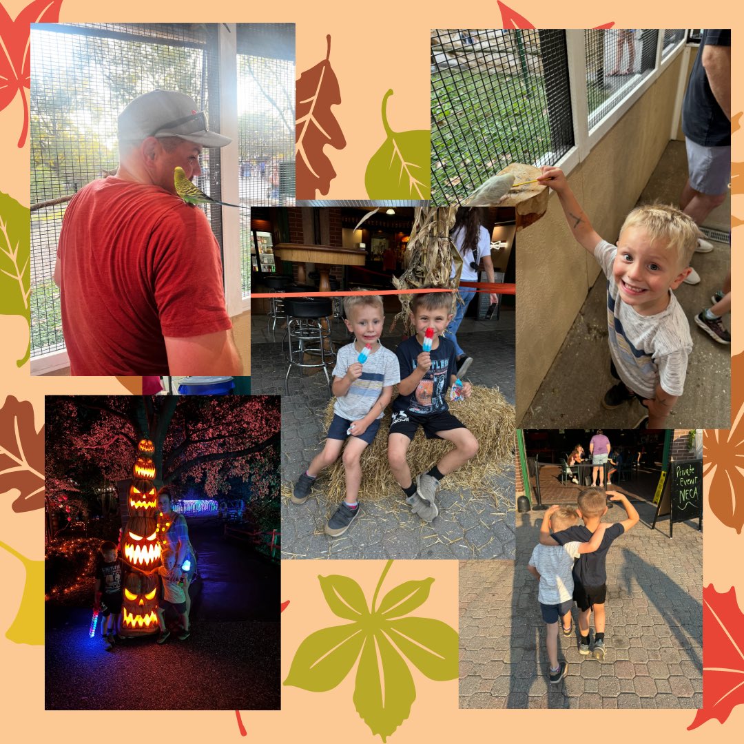 🍁🎉 NECA Fall Family Fun Event Recap! 🎉🍁
What an amazing day we had at Grant's Farm 🐐🚂🎃🍻

Thank you to everyone who joined us for a day filled with laughter and great memories. We’re so grateful to our NECA family for making this event a huge success!