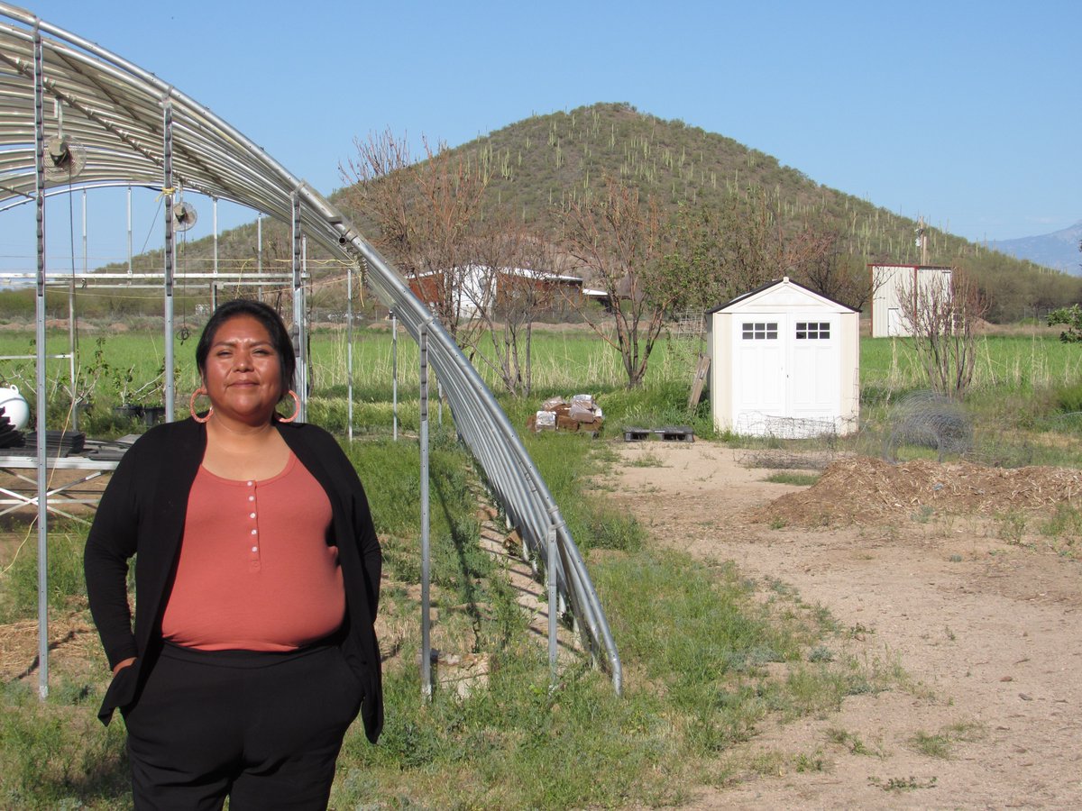 What does Indigenous Data Sovereignty mean at a genomics lab, a farm, or a library? Check out these great talks w <a href="/kstsosie/">Dr. Krystal Tsosie, PhD, MPH</a> of <a href="/nativebio/">Native BioData Consortium</a>, #Foodsovereignty knowledge holder Amy Juan &amp; Alex Soto of <a href="/ASU/">Arizona State University</a>'s Labriola Indian Data Center #IndigenousPeoplesDay podcasts.apple.com/us/podcast/pri…