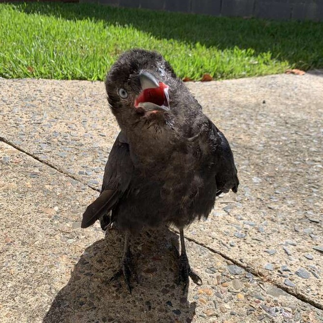 Hey! You got games on your phone?