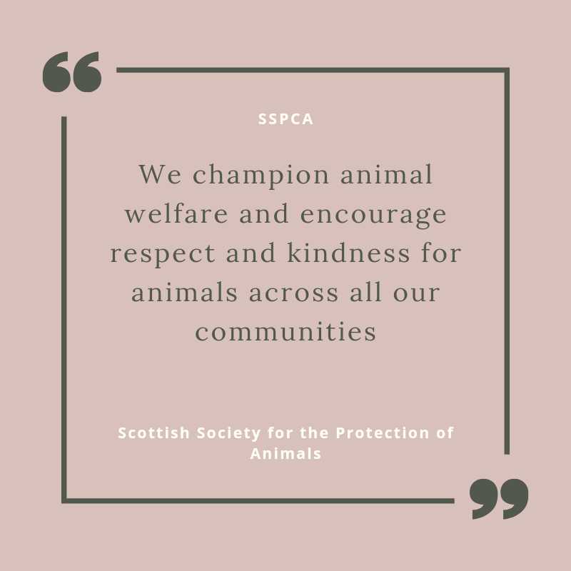 A wee family weekend away has really increased my miles. Think we've walked the legs off this wee man!

Team TIGERS are doing this to raise awareness for charities. I chose the SSPCA. 

Total - 44.4 miles
#WalkForACause #sspca #teamtigers
<a href="/TIGERS_UK/">Tigers Group</a>