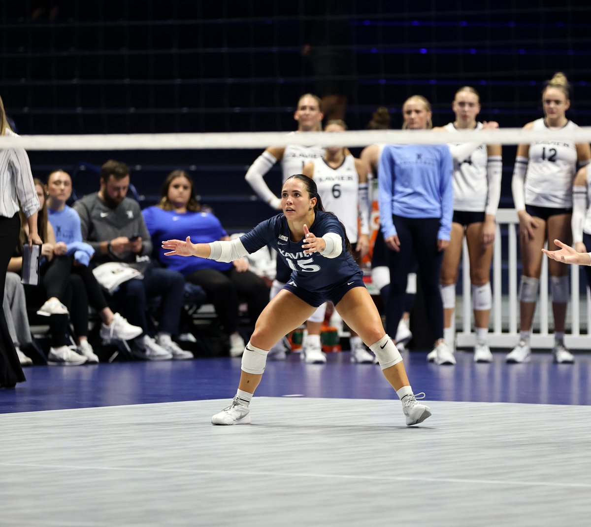 XavierVBALL's tweet photo. Logan Flaugh and Lucia Corsaro were also named to the BIG EAST Weekly Honor Roll after leading the Muskies to an undefeated weekend! 👑

Logan tallied a career-high 55 assists with double-doubles in back-to-back matches &amp; Lucia recorded 20+ digs in both road wins!

#LetsGoX https://t.co/zDismJmeDi