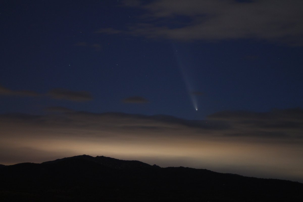 Daniel Erice tweet media