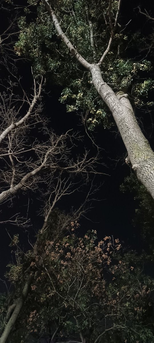 Günün en güzel saatleri ✨