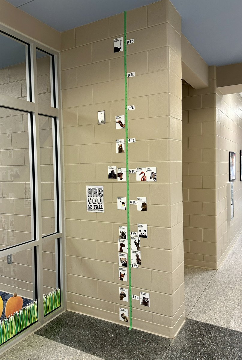 crazymrst's tweet image. Math in the library? Why, yes! Finally installed The Book Wrangler’s “Are you as tall as. . .?” animal and book character height graphics! And starting a Velcro Knowledge wall for a fact-a-day! #passiveprogramming @glma