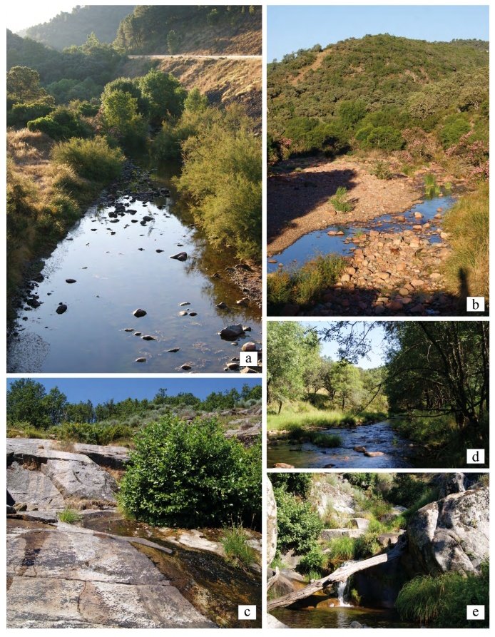 Nuevo artículo del Boletín de la Asociación Española de Entomología:

Observaciones sobre los tricópteros (Insecta, Trichoptera) del suroeste de la península ibérica: Extremadura y Córdoba

Consulta o descarga de forma gratuita en: entomologica.es/publicaciones-…