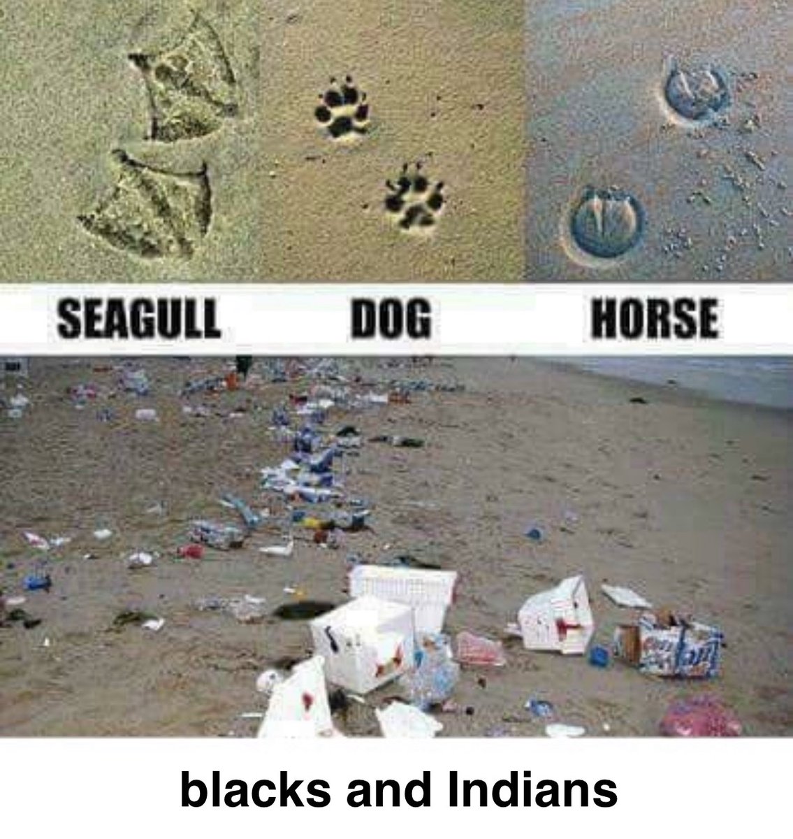 BIPOC Doing Racism (@bipocracism) on Twitter photo 