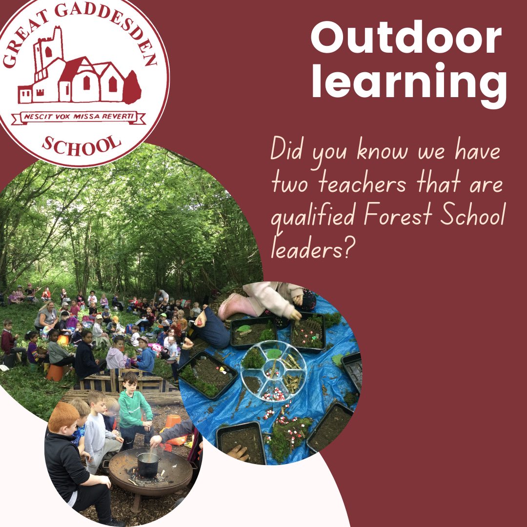 Great Gaddesden CE (VA) Primary School tweet media