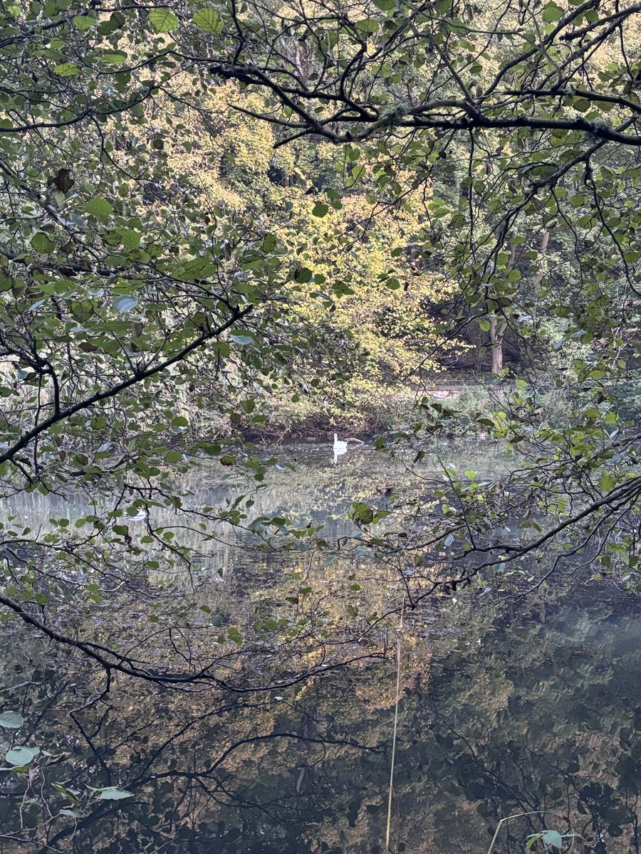 Ms Marchmont 🏳️ tweet media