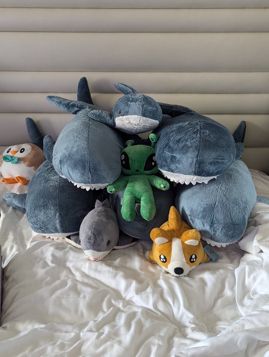 Tinko Maki (@SharkBaitCove) / Posts / X