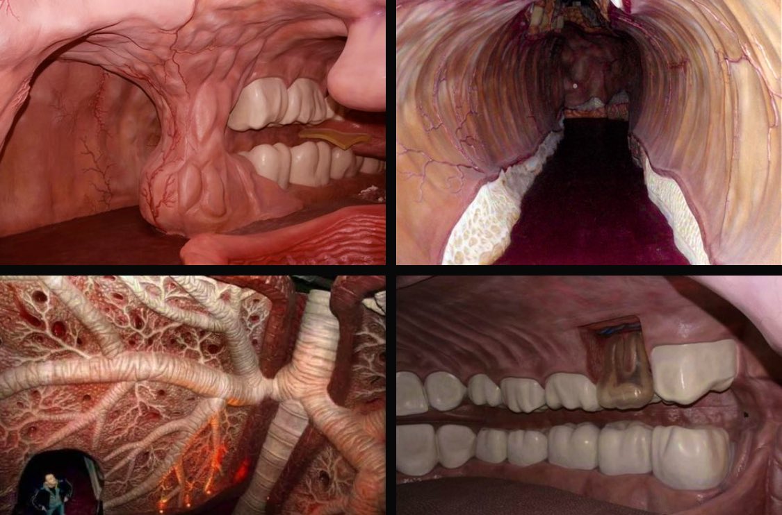 the corpus museum, netherlands