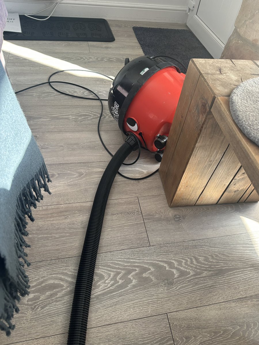 A visual representation of how my week has started….. #henrythehoover How about you? #hooverproblems