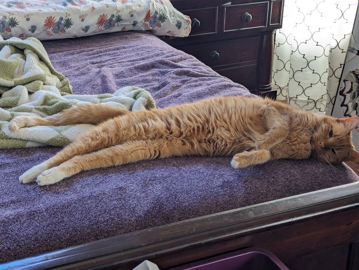 ＺＡＣＨ tweet media