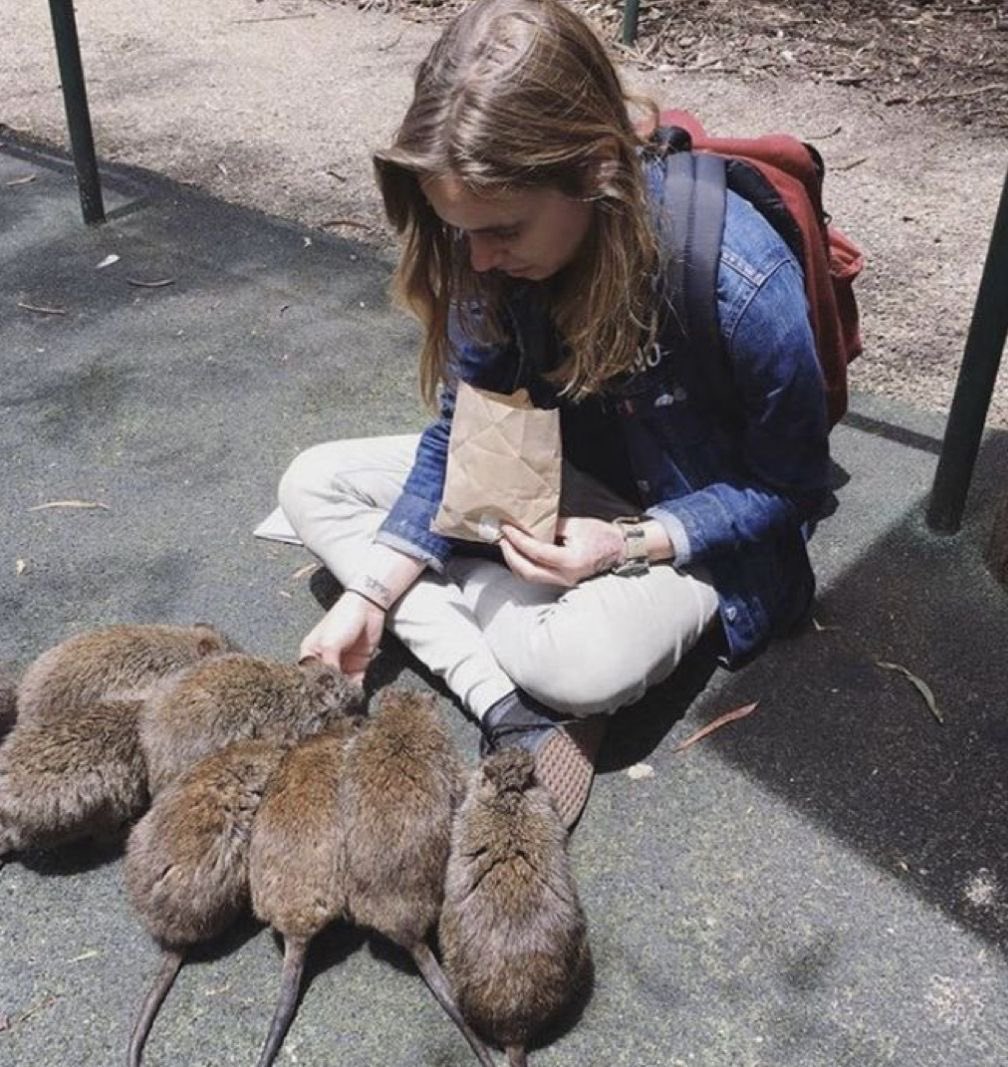 favorite piece of Julien Baker lore go:

personally mine is this photo of her feeding a bunch of rats