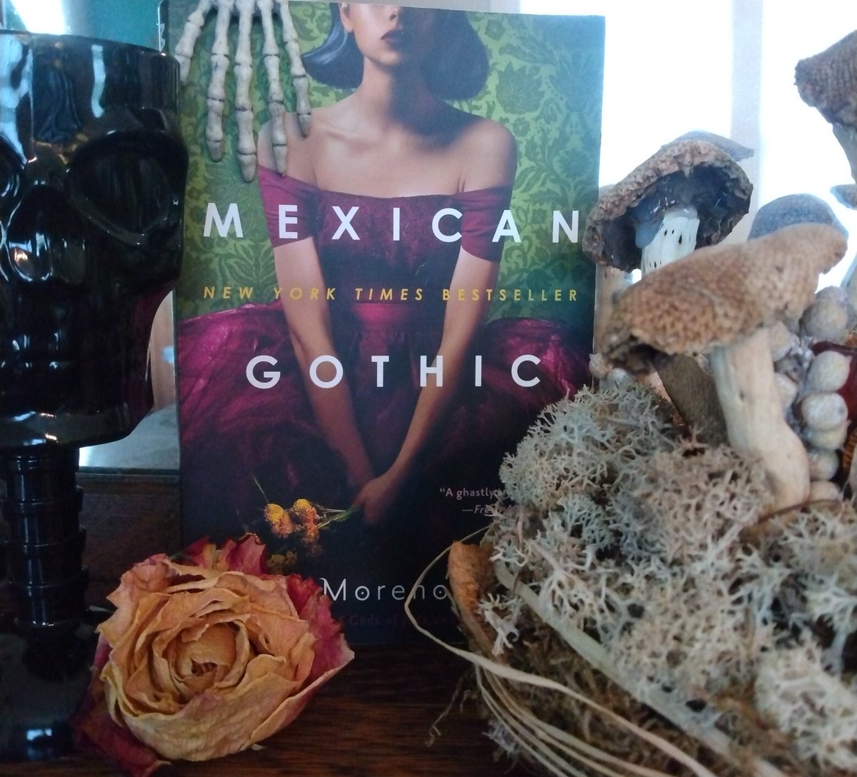 In-depth book review for spooky season! What are you reading this spooky season? And please comment on the blog if you stop by. Hugs! 

#ghoststories #bookreview #vintagevibes #spookybooks girlinthejitterbugdress.com/mexican-gothic…