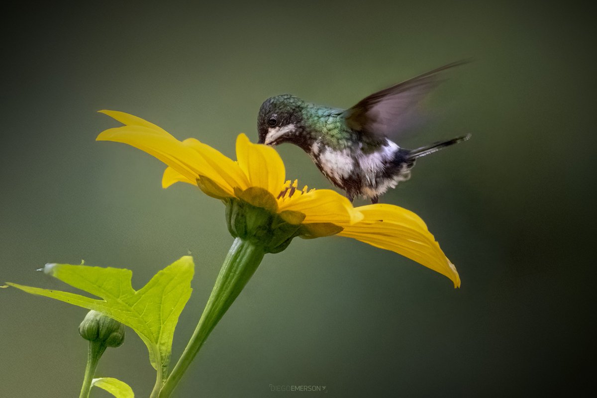 El departamento de Nariño en Colombia les envía esta postal.
