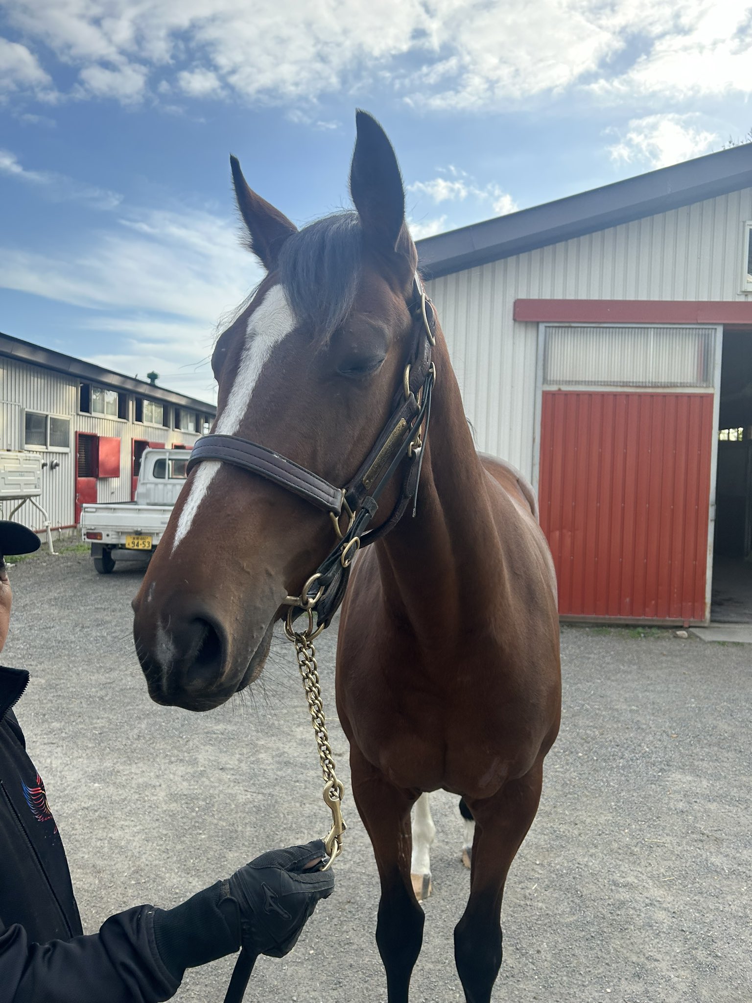 チーママ - Search / X