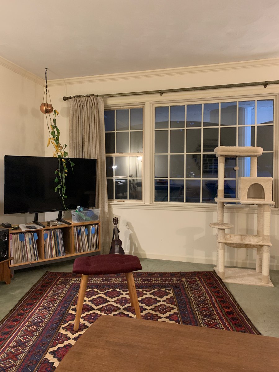 ooh! little heat in that corn dip! tweet media