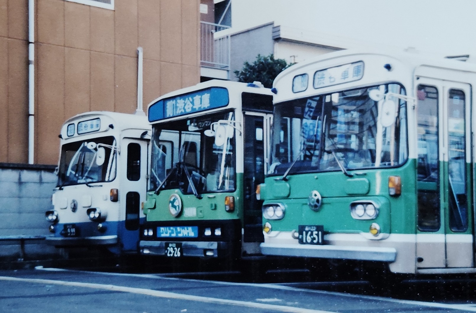 San Carlos rookie tourist star Five Star Bus Company 3554