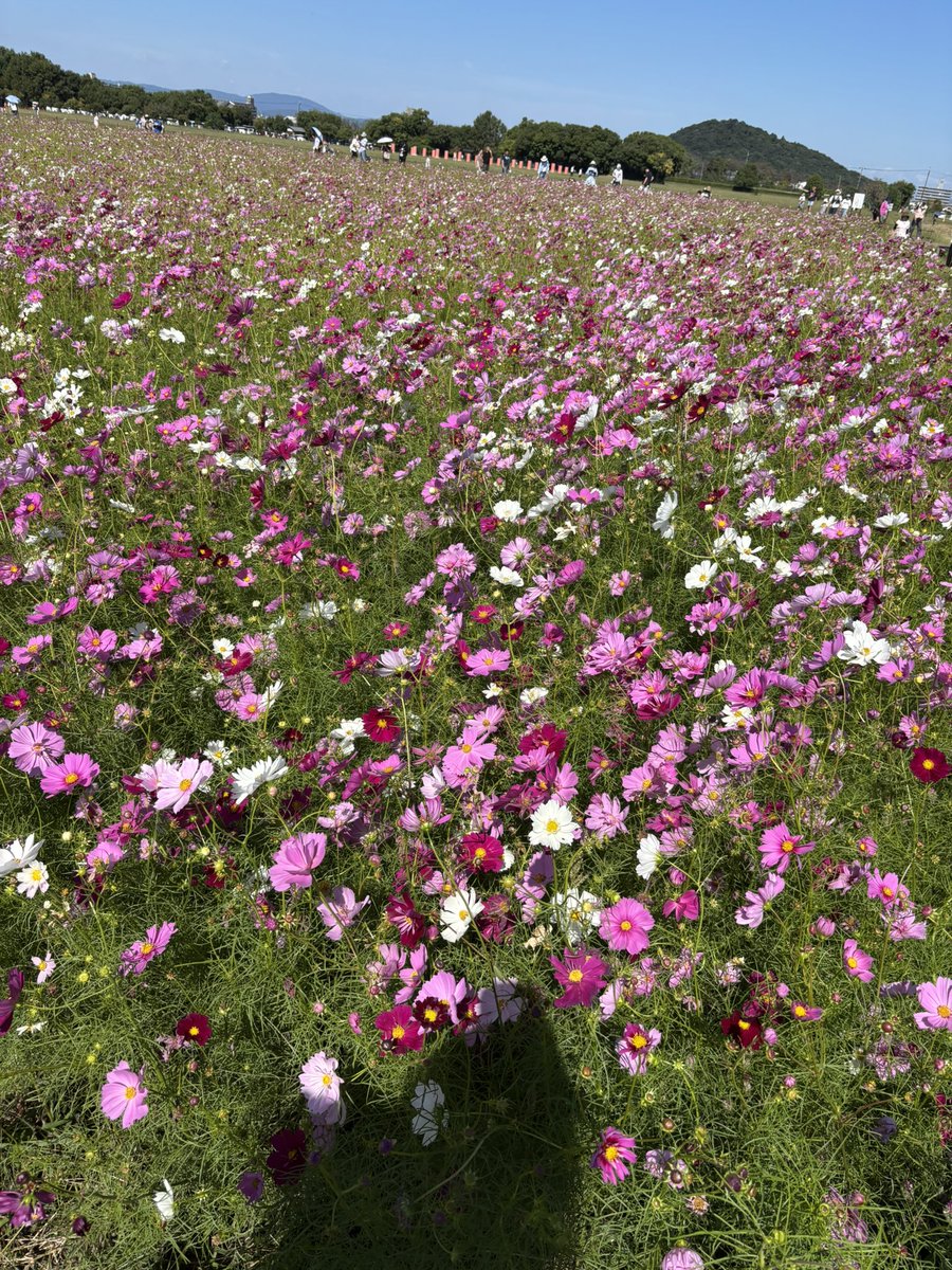 おはようございます！
最近やっと秋らしい気温や食べ物を感じれて嬉しい日々を過ごしています🍂🍠

先日誕生日を迎え大阪支社の方々や友人など沢山の方に祝っていただき幸せな時間をいただきました✨

今週末も楽しいことが待っているので本日よりフルスロットで頑張っていきます🏃‍♀️‍➡️