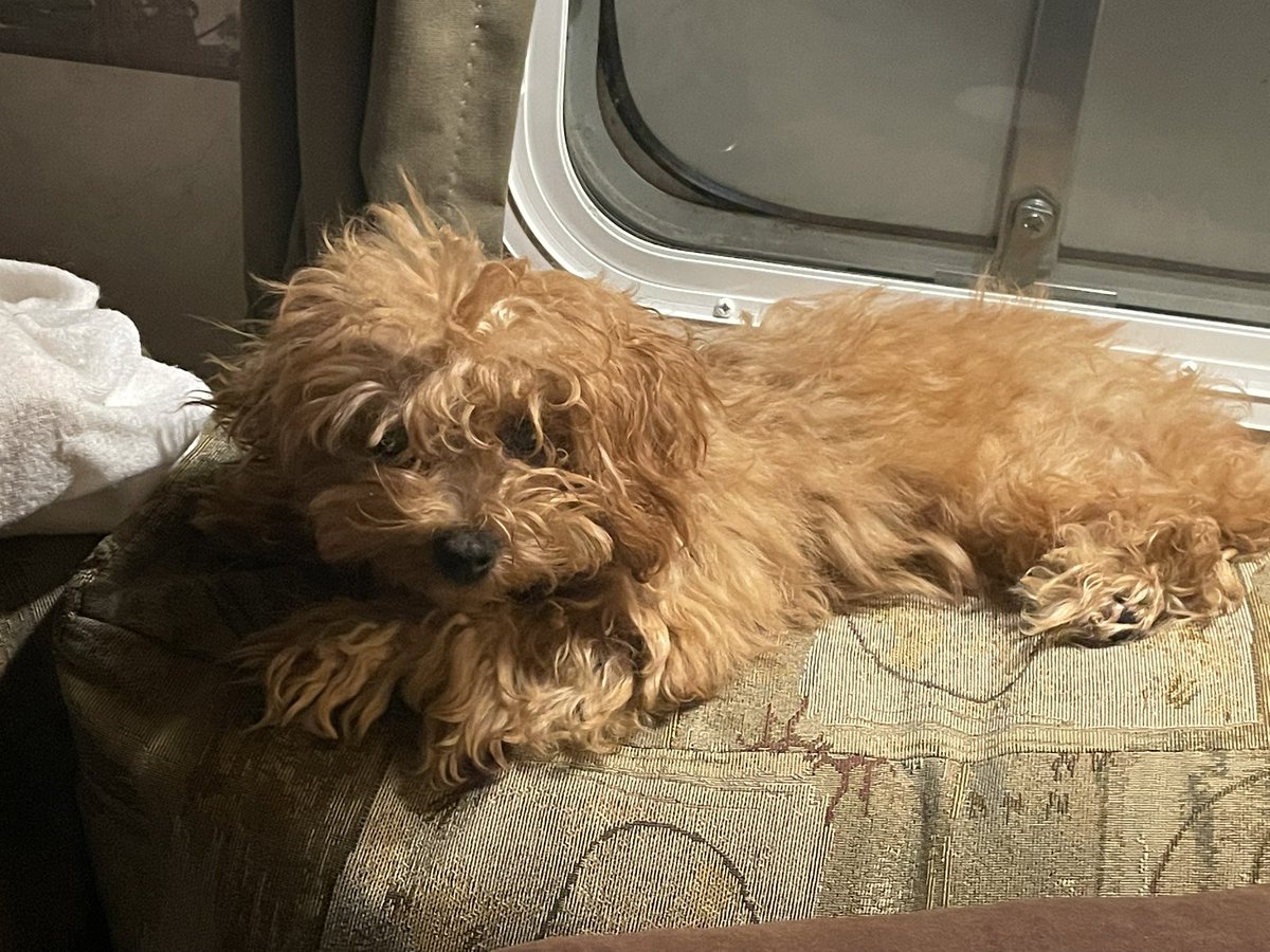 7 Days Of Smiles tweet media