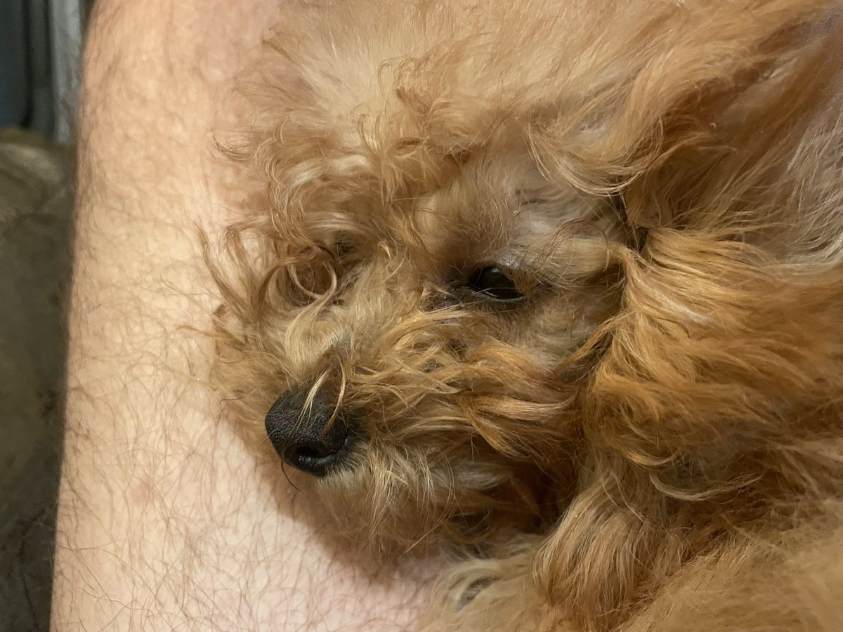 7 Days Of Smiles tweet media