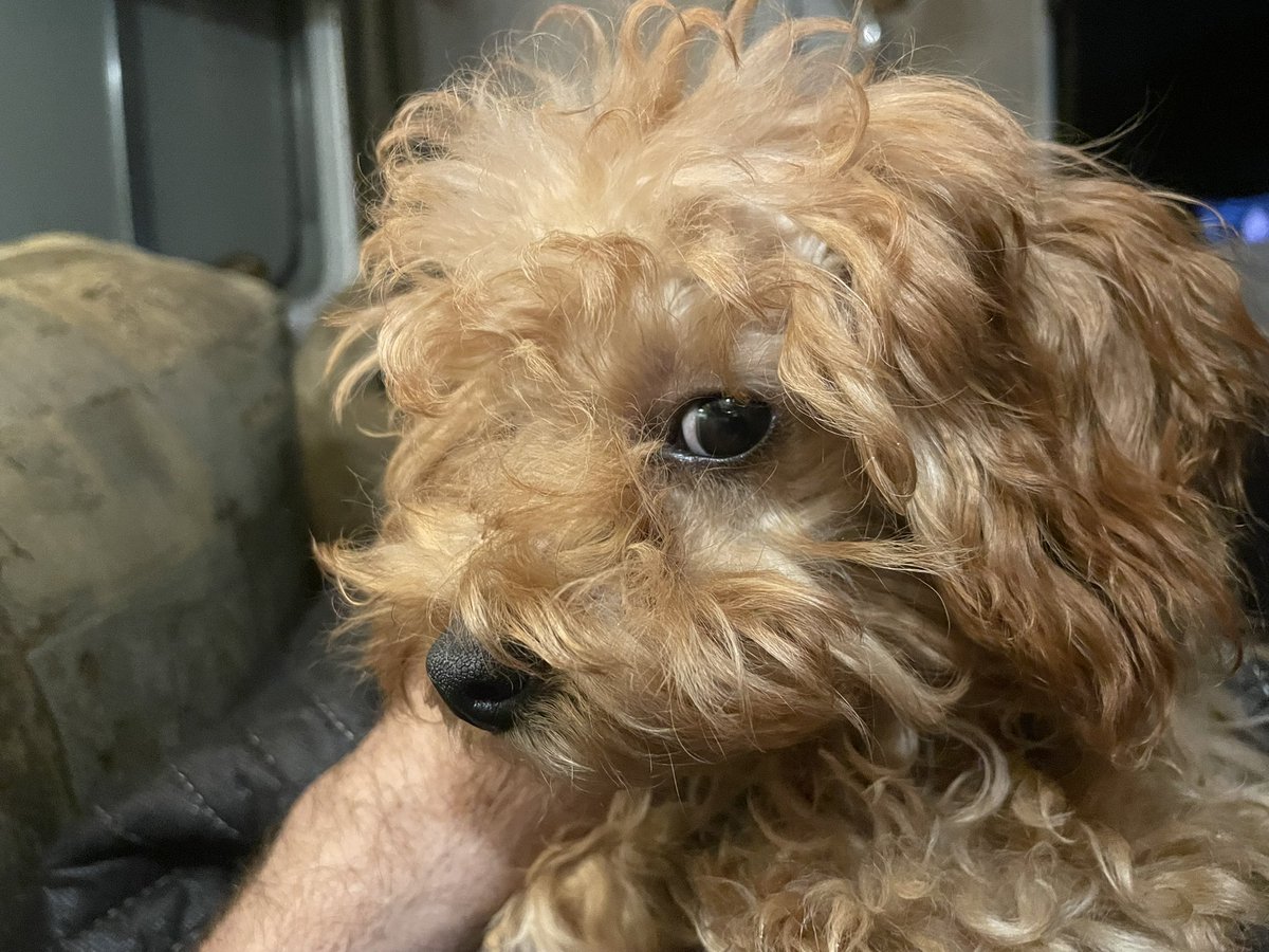 7 Days Of Smiles tweet media