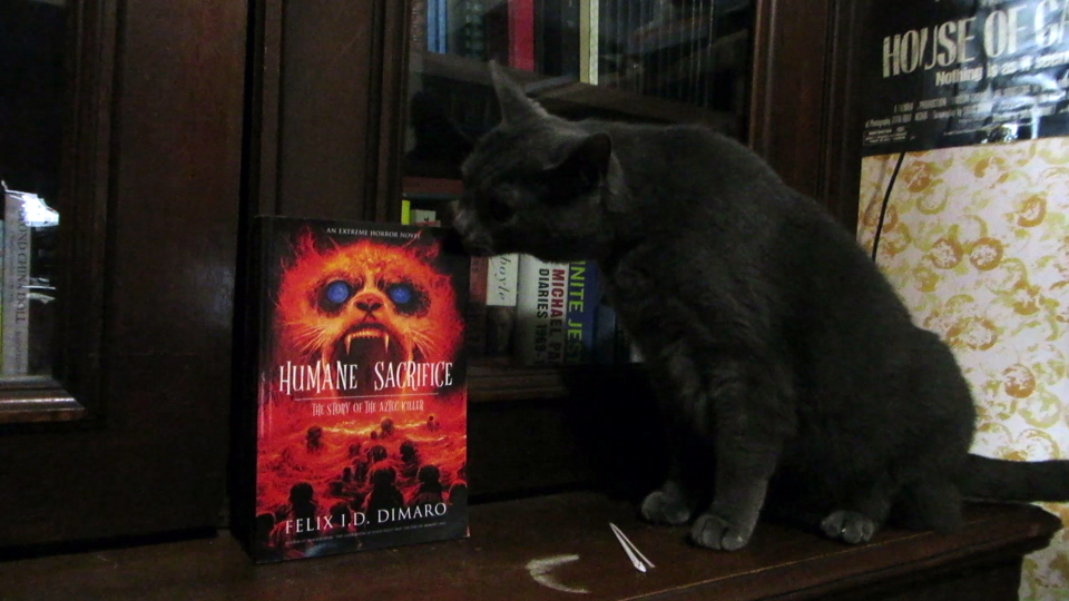 Chris Kuriata tweet media