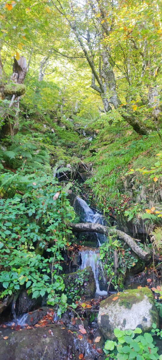 MotoresRepechin's tweet image. Ponga en su agenda #Ponga @RutasxAsturias @TurismoAsturias @TurAsturiasPro