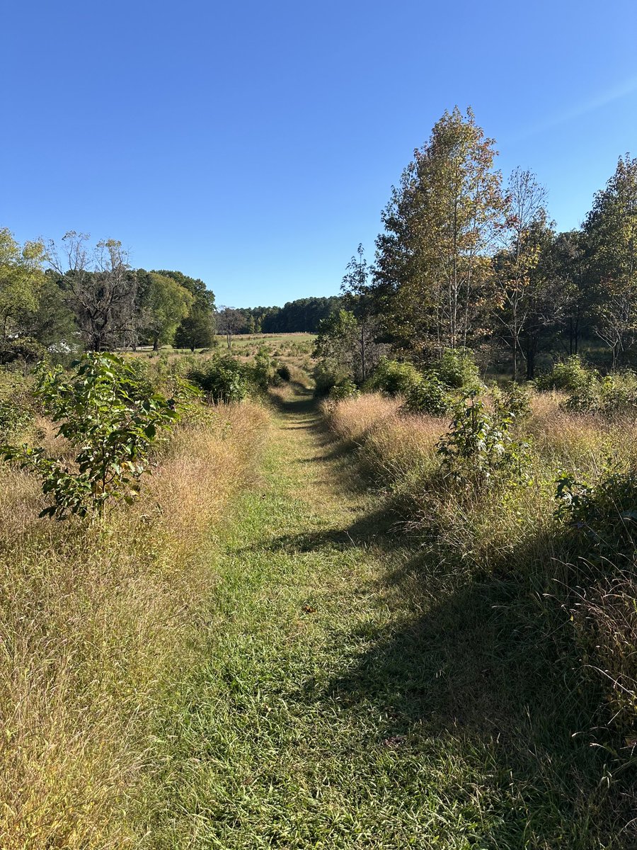 The most amazing day!